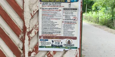 Qalam Times