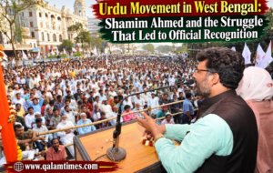 Qalam Times