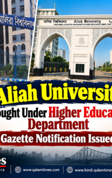 Qalam Times