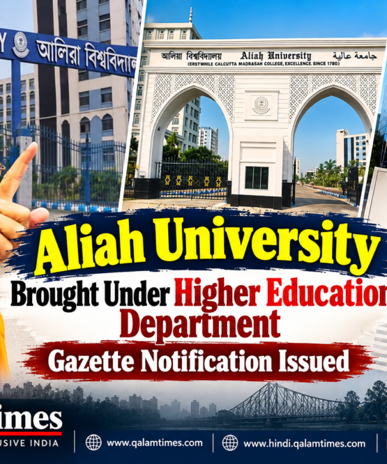 Qalam Times