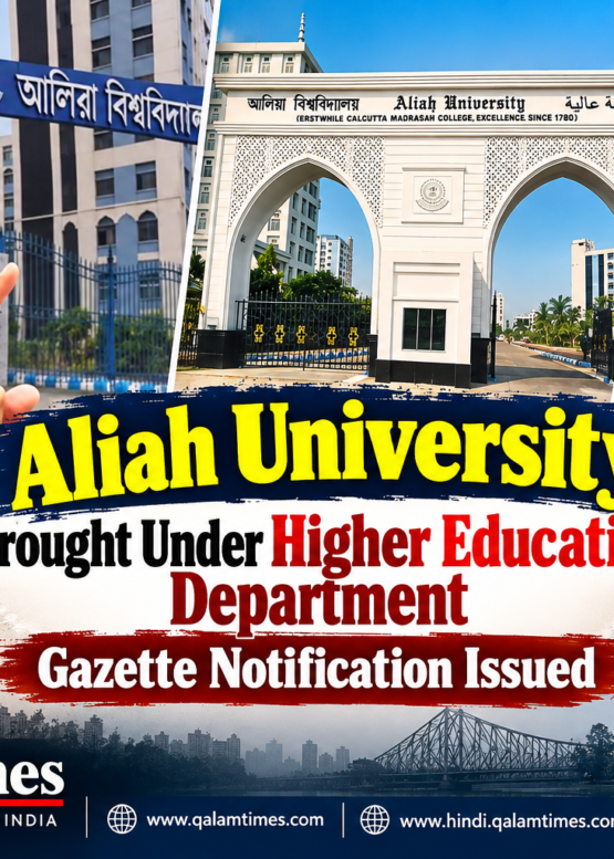Qalam Times