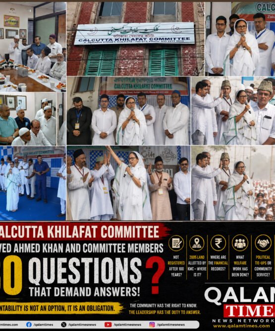 Qalam Times