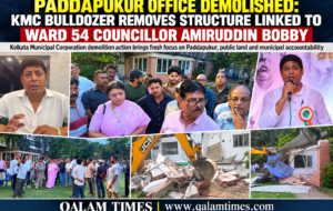 Qalam Times