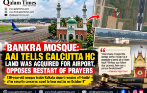 Qalam Times
