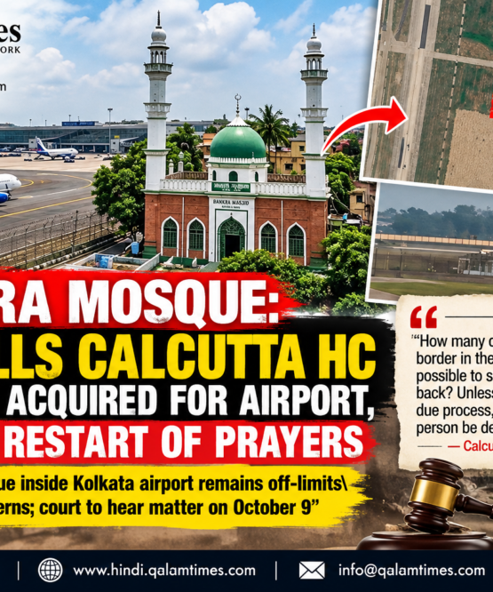 Qalam Times