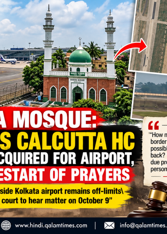 Qalam Times