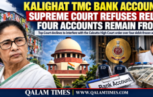 Qalam Times