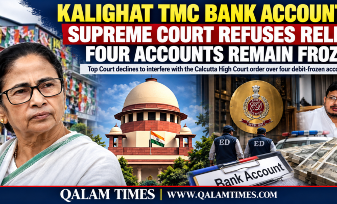 Qalam Times