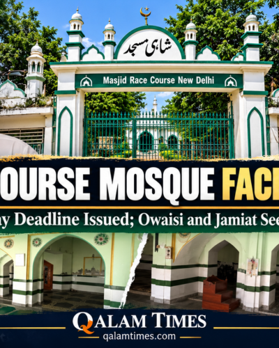 Qalam Times