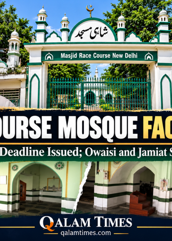 Qalam Times